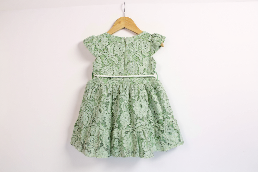 Green Mist Chikan Net Frock