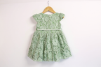 Green Mist Chikan Net Frock