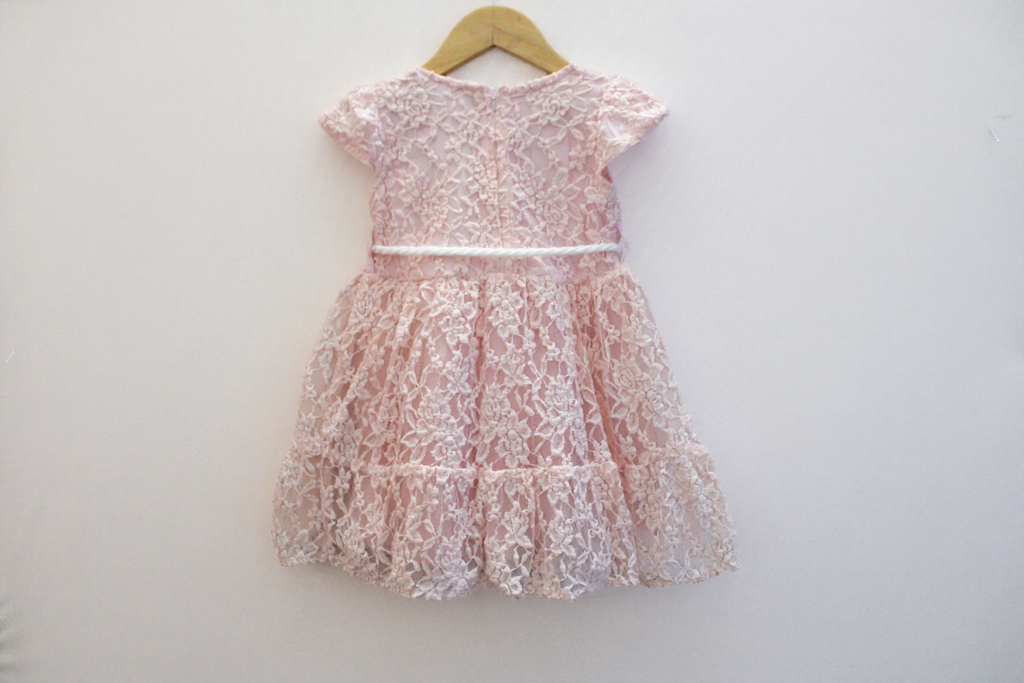 Peach Mist Chikan Net Frock