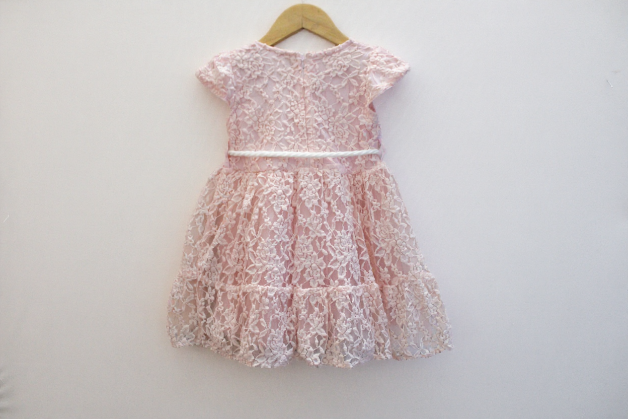 Peach Mist Chikan Net Frock
