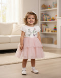 Pink Butterfly Layered Net Frock