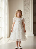 ​White & Gold Layered Net Party Frock
