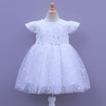 Sequin detailing Net Party Frock