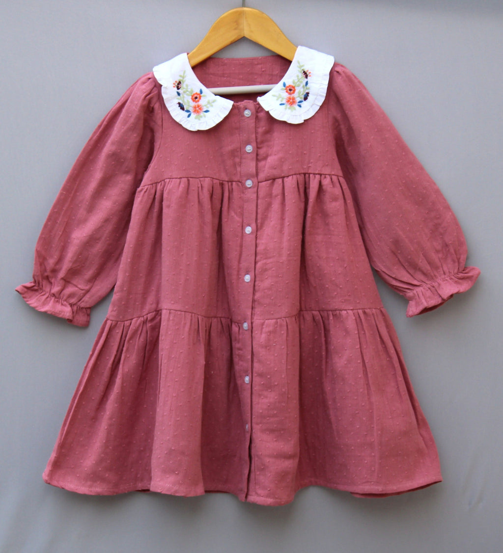 Peter Pan Collar  Dress