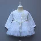Party Wear Frock | Lace Bodice & Layered Net Dress