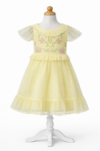 Girls Embroidered  Party Wear Frock – Soft, Elegant & Princess-Style Outfit