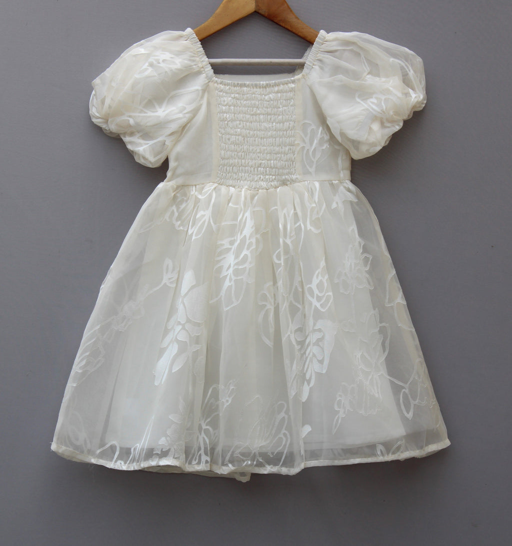 White Organza Party Wear Dress
