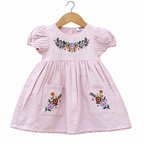 Girl Embroidered Frock with Pockets